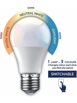 10 Watt Renkli Ampul Renk Değiştiren Ampul 940 Lümen Renkli Lamba Beyaz- Kırık Beyaz- Günışığı