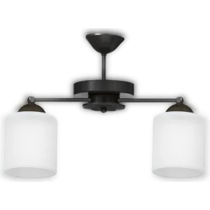Siyah 2'li Modern Plofonyer Model Avize