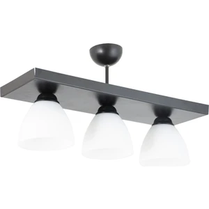 Ikili Dikdörtgen Siyah Spor Model Modern Avize