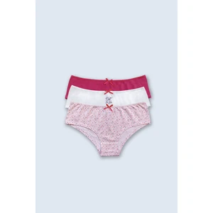 Pierre Cardin 3'lü Ekonomik Paket Soft Points 2703 Pamuklu Basic Hipster Külot