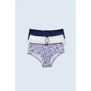 Pierre Cardin 3'lü Ekonomik Paket Night Flowers  2703 Pamuklu Basic Hipster Külot