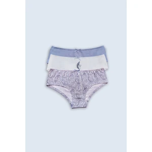 Pierre Cardin 3'lü Ekonomik Paket Hypnosis 2703 Pamuklu Basic Hipster Külot