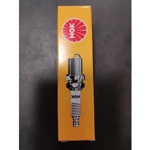 Ngk 4929 DPR8EA-9 Buji