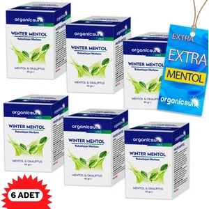 Winter Mentol Buharlaşan Merhem Viks Vicks Vikis Mentol ve Okaliptus 40 gr x 6 Adet