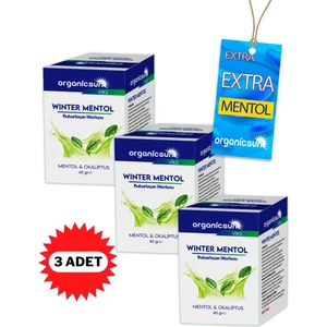 Winter Mentol Buharlaşan Merhem Viks Vicks Vikis Mentol ve Okaliptus 40 Grx 3 Adet