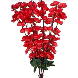 Rüzgar Çiçekçilik Rüzgar Çiçekcilik Kırmızı Bahardalı