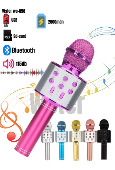 Wster Karaoke Mikrofon Bluetooth Hoparlör Aux Usb Mikro Sd Kart Girişli Türkçe Içerikli Pembe Ws-858