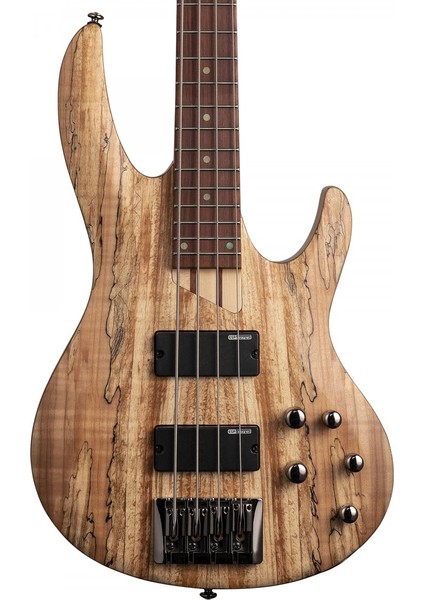 B-204 Spalted Maple Natural Bas Gitar