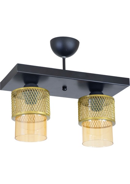 Ikili Bal Cam Kafes Model Modern Plafonyer Avize