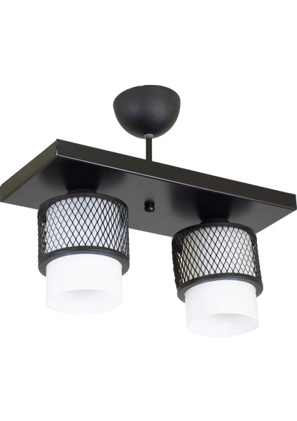 Ikili Beyaz Cam Kafes Model Modern Plafonyer Avize