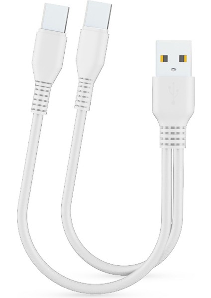2'si 1 Arada Mikro USB C Kablo Tipi C Kablolar Telefon Için Hızlı Şarj Şartı Kablosu (Yurt Dışından)