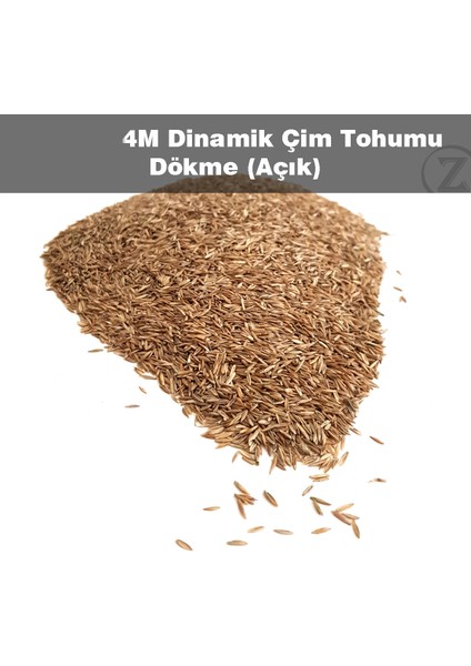 Çim Tohumu 5 kg