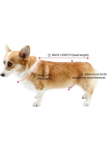 Sarısı Adam Pu Köpek Yağmurluk Teddy Ke Fon Evcil Hayvan Giysileri Su Geçirmez Dış Mekan (Yurt Dışından) indirimleri