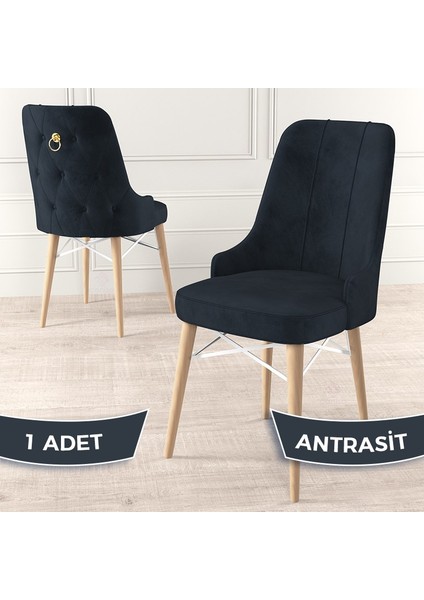 Concept Pare Serisi, 1.sınıf Babyface Ithal Kumaş 1 Adet Sandalye Doğal Ahşap Ayaklı Gold Halkalı