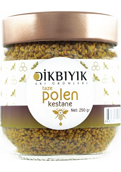 Kestane Taze Polen 250 gr