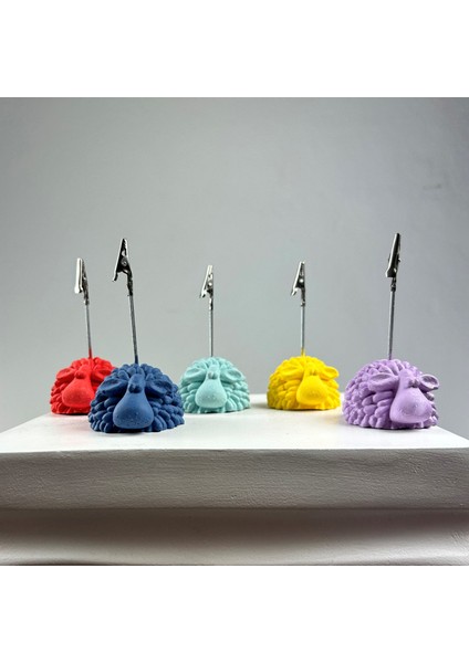 Kuzu Not Tutucu 5'li Set (Mercan-Gri Mavi-Lila-Nane - Sarı )