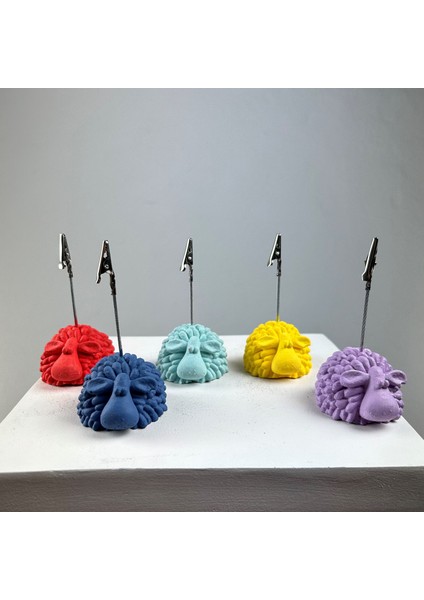 Kuzu Not Tutucu 5'li Set (Mercan-Gri Mavi-Lila-Nane - Sarı ) modelleri