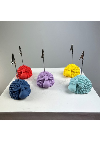 Kuzu Not Tutucu 5'li Set (Mercan-Gri Mavi-Lila-Nane - Sarı ) fırsatları