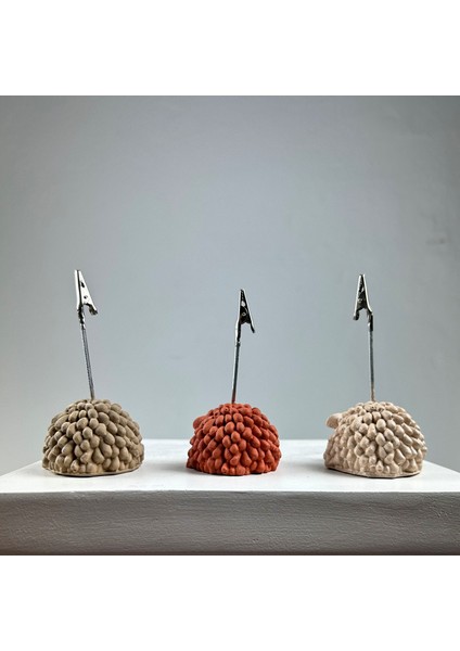 Kuzu Not Tutucu 3'lü Set (Krem-Terracota-Kese Kağıdı )