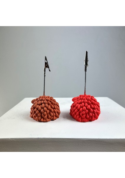 Kuzu Not Tutucu 2'li Set (Mercan-Terracota)
