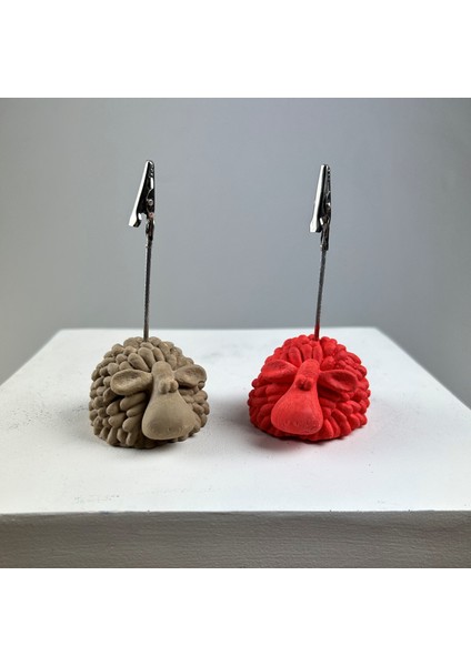Kuzu Not Tutucu 2'li Set (Mercan-Terracota)