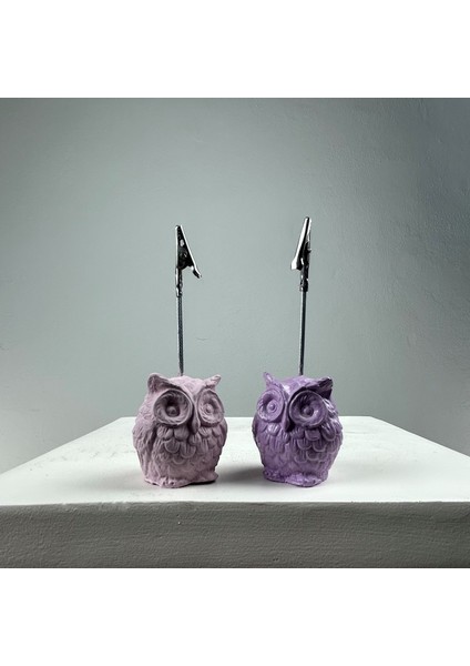 Baykuş Not Tutucu 2'li Set (Lila - Pembe)