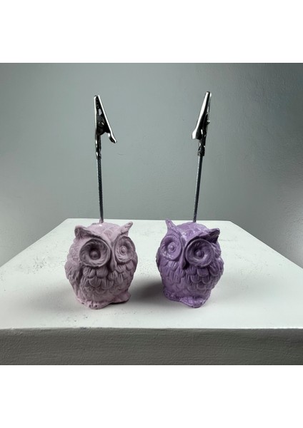 Baykuş Not Tutucu 2'li Set (Lila - Pembe) fiyatları