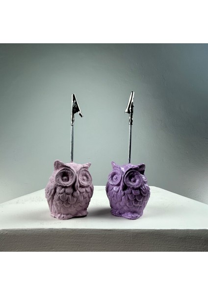 Baykuş Not Tutucu 2'li Set (Lila - Pembe) modelleri