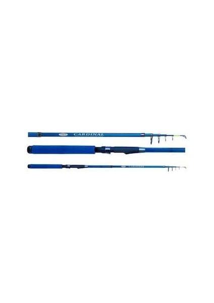 Effe Cardınal Tele Spin Kamış 3,00 mt Mavi Kapalı Boy 64 cm 40-80 gr