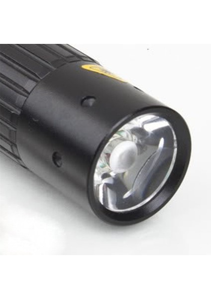 El Feneri (Yurt Dışından) fiyatları