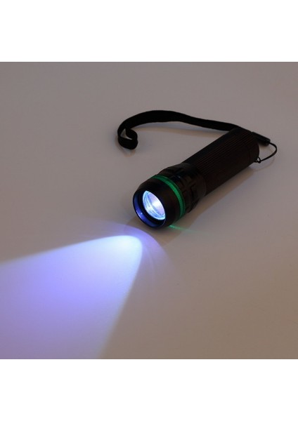 El Feneri (Yurt Dışından) fiyatları