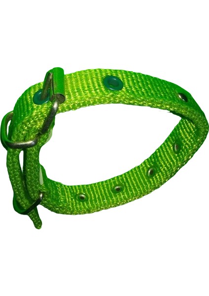 40 cm X2CM Süslu Yavru Tasma Yeşil