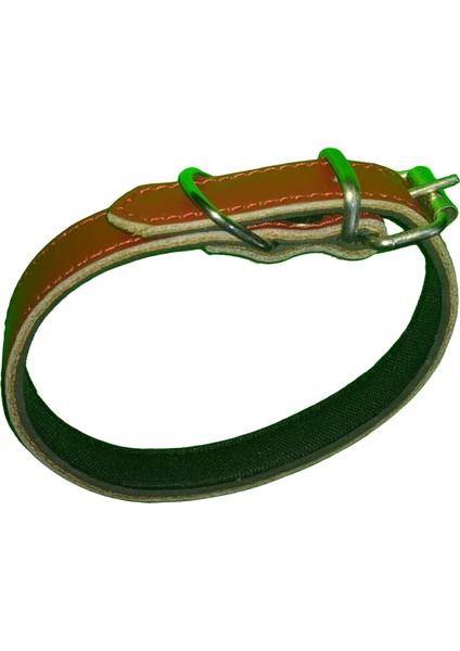 45 cm X2,cm Düz Küçük Tasma Kırmızı