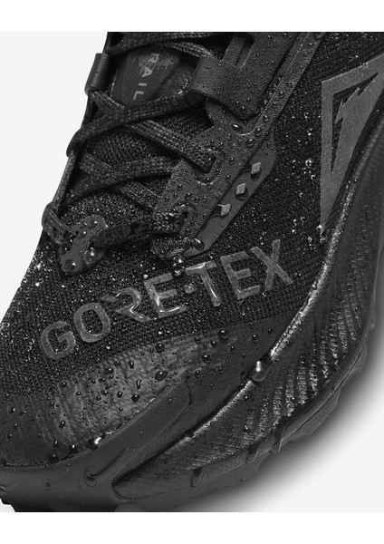 Pegasus Trail 3 Gore-Tex / DC8793-001 modelleri