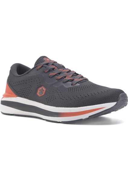 Buzz 3fx Gri Erkek Koşu Ayakkabısı fiyatları
