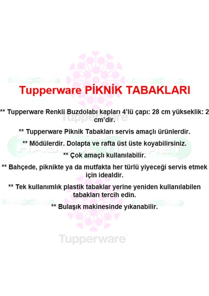 Piknik Tabakları 28 cm Turuncu Servis Tabağı modelleri