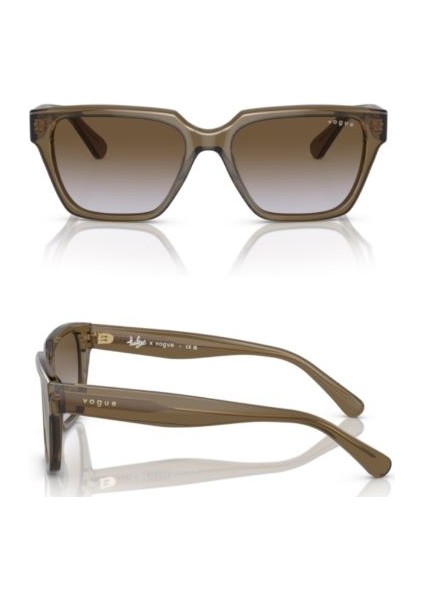 Hailey Bieber Serisi Güneş Gözlüğü Transparent Dark Khaki 5512S 304768 53 17 140