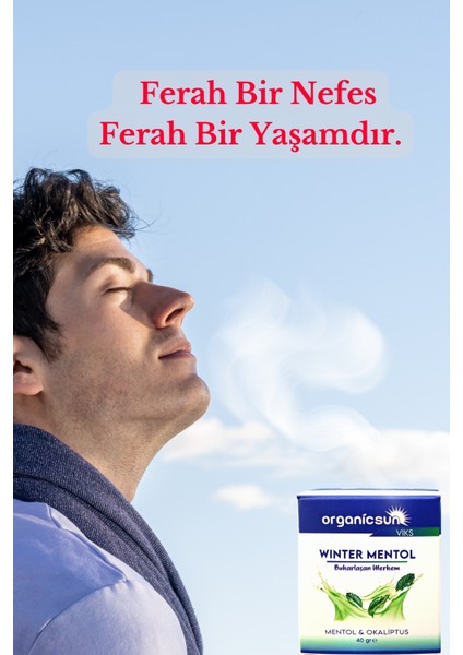 Winter Mentol Buharlaşan Merhem Viks Vicks Vikis Mentol ve Okaliptus 40 Grx 3 Adet