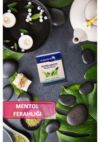 Winter Mentol Buharlaşan Merhem Viks Vicks Vikis Mentol ve Okaliptus 40 Grx 3 Adet