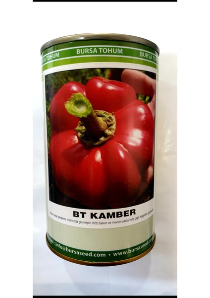 Kamber Biber Tohumu 100 Gram