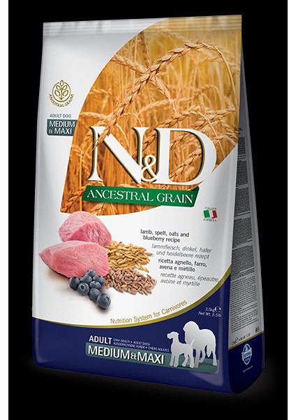 Ancestral 12 kg Yetişkin Köpek Maması, Kuzulu, Kılçıksız Buğday, Yaban Mersini