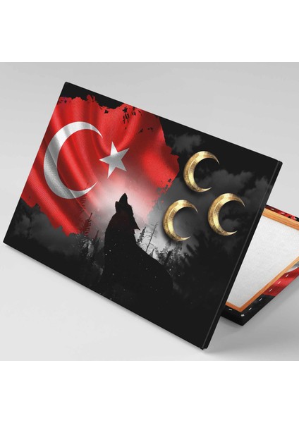 Kurt Asil Türk Bayrağı Gold Ay Kanvas Tablo fiyatları