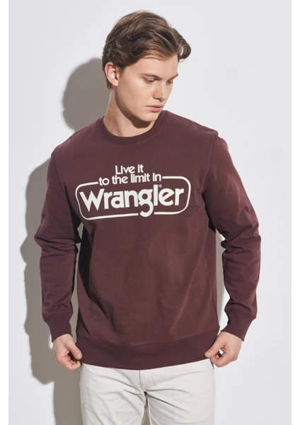 Regular Fit Normal Kesim %100 Pamuk Bisiklet Yaka Bordo Sweatshirt