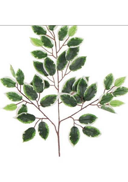 Rüzgar Çiçekcilik Islak Doku Ficus Yaprağı
