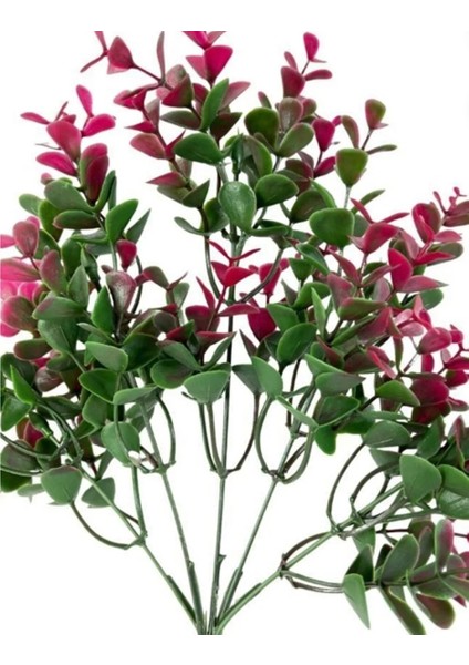 Rüzgar Çiçekcilik Tropik Bitki fiyatları