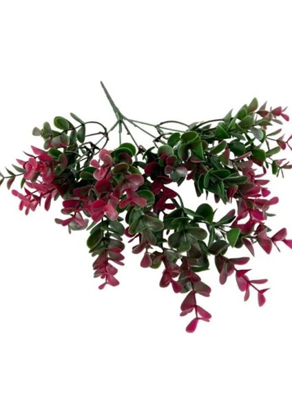 Rüzgar Çiçekcilik Tropik Bitki modelleri