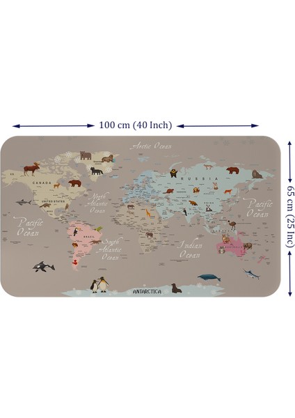 Eğitici Dünya Haritası Dünya Atlası Çocuk ve Bebek Odası Duvar Sticker