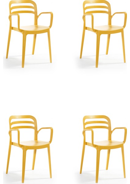 Aspendos Bahçe Balkon Renkli Koltuk Hardal 4'lü Set