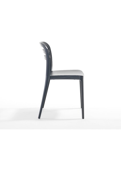 Aspen Bahçe Balkon Renkli Sandalye Antrasit 6'lı Set