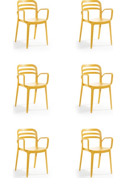 Aspendos Bahçe Balkon Renkli Koltuk Hardal 6'lı Set